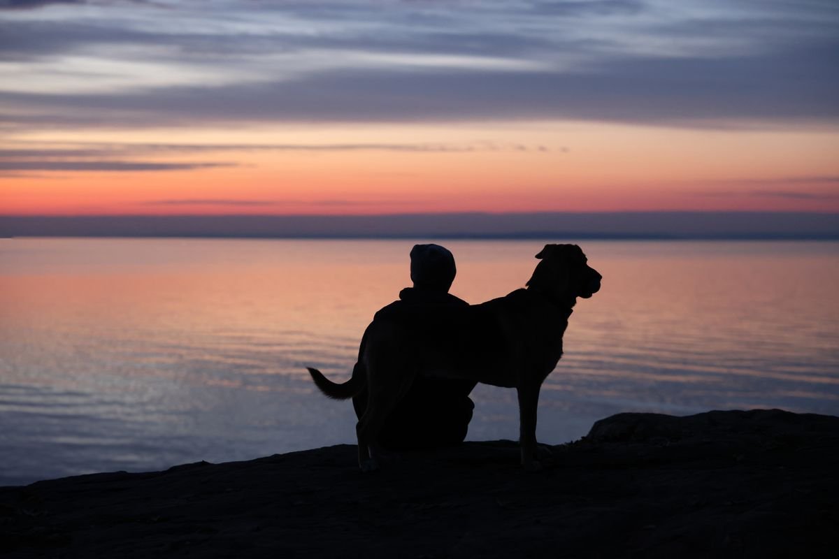 A person and dog in silhouette watching a coastal sunset