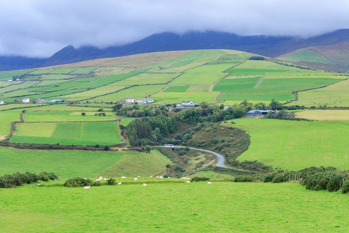 Green fields and mountains along an Irish touring route