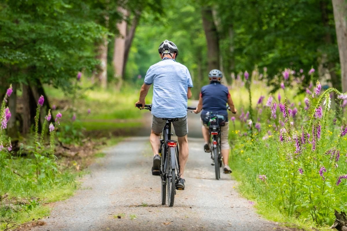 Two cyclists riding a tree-lined greenway path lined with wildflowers in Ireland