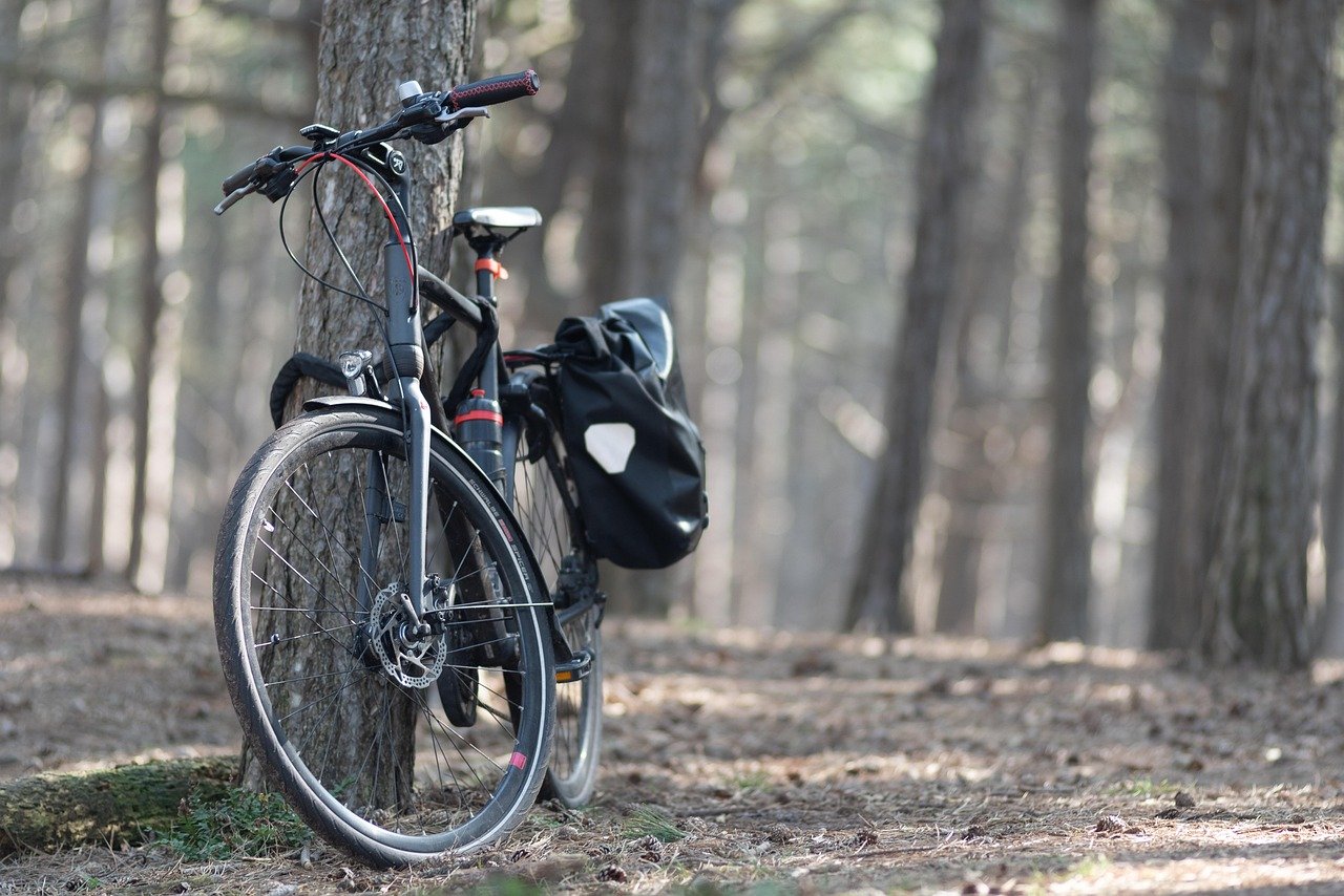 A touring bike with a rear pannier bag leaning against a tree in a forest