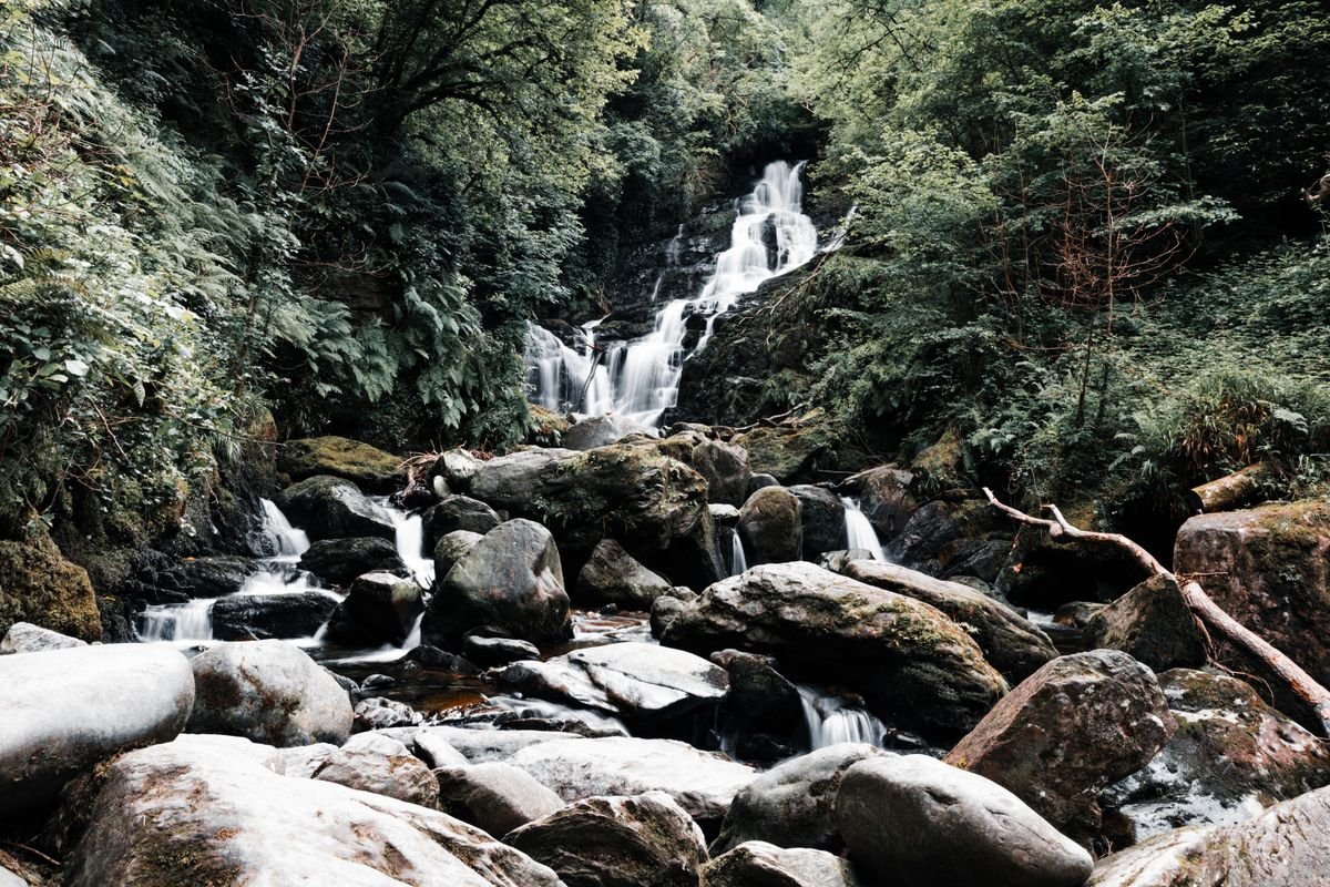 Torc Waterfall fanning over rocks through woodland in Killarney National Park, County Kerry.