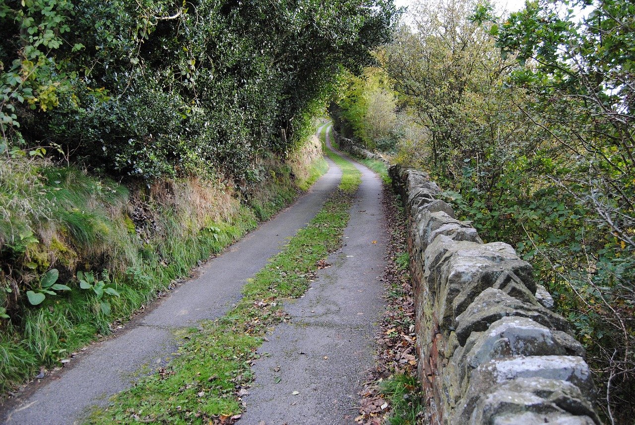 Narrow country lane with a dry stone wall in the Irish countryside