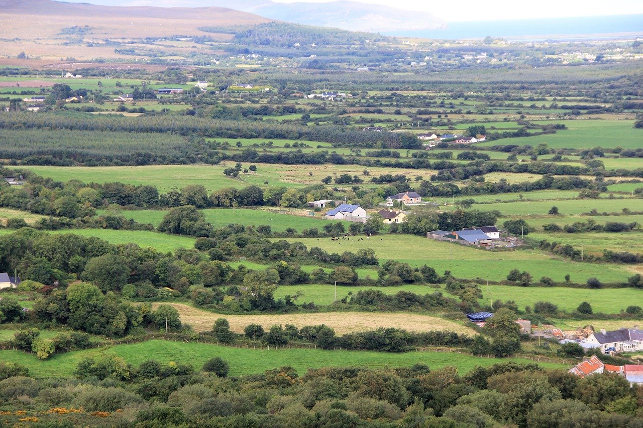 Patchwork green farmland in the Irish countryside