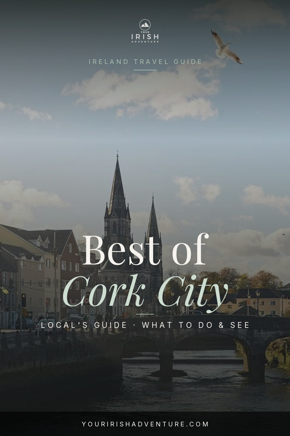 Colorful streets and market stalls in Cork City Ireland with Blarney Castle and Cobh harbour
