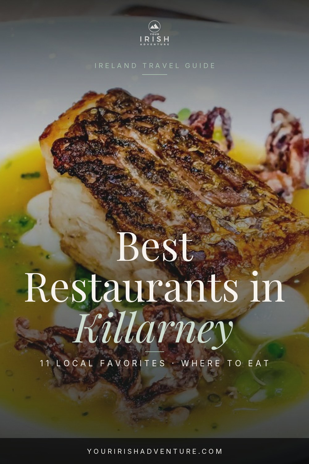 Plated Irish dinner at a Killarney restaurant with a pint on the table