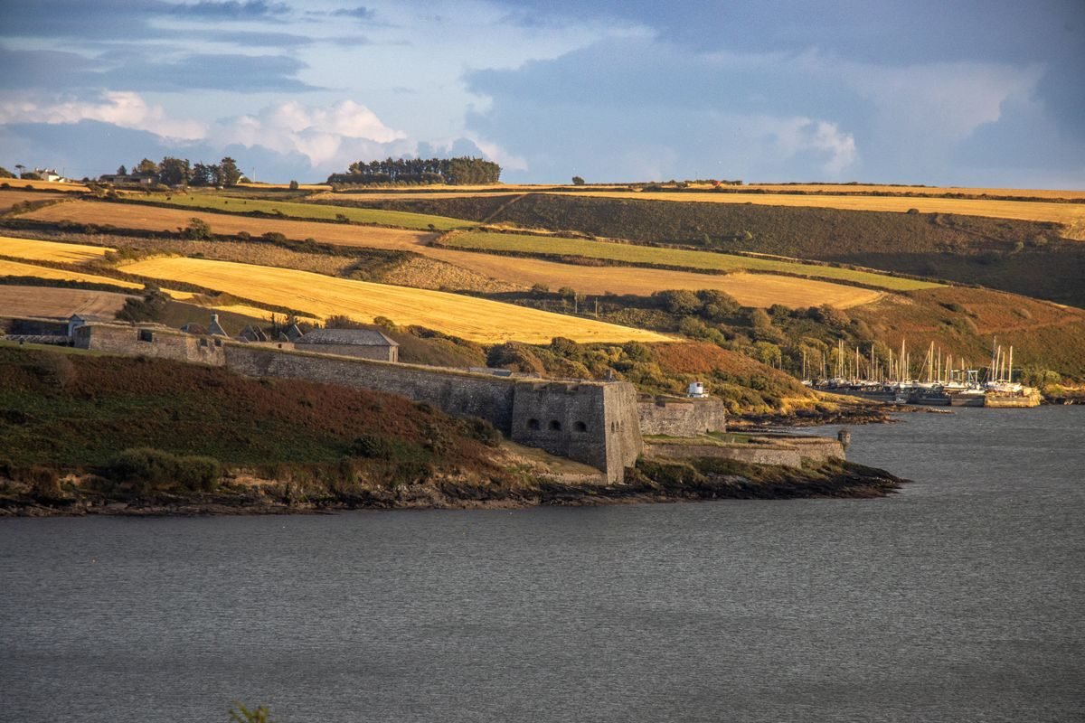 West Cork coastline with green fields and a harbour