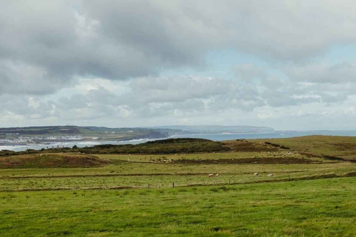 Green Irish fields with sheep rolling down to the coast under a moody sky