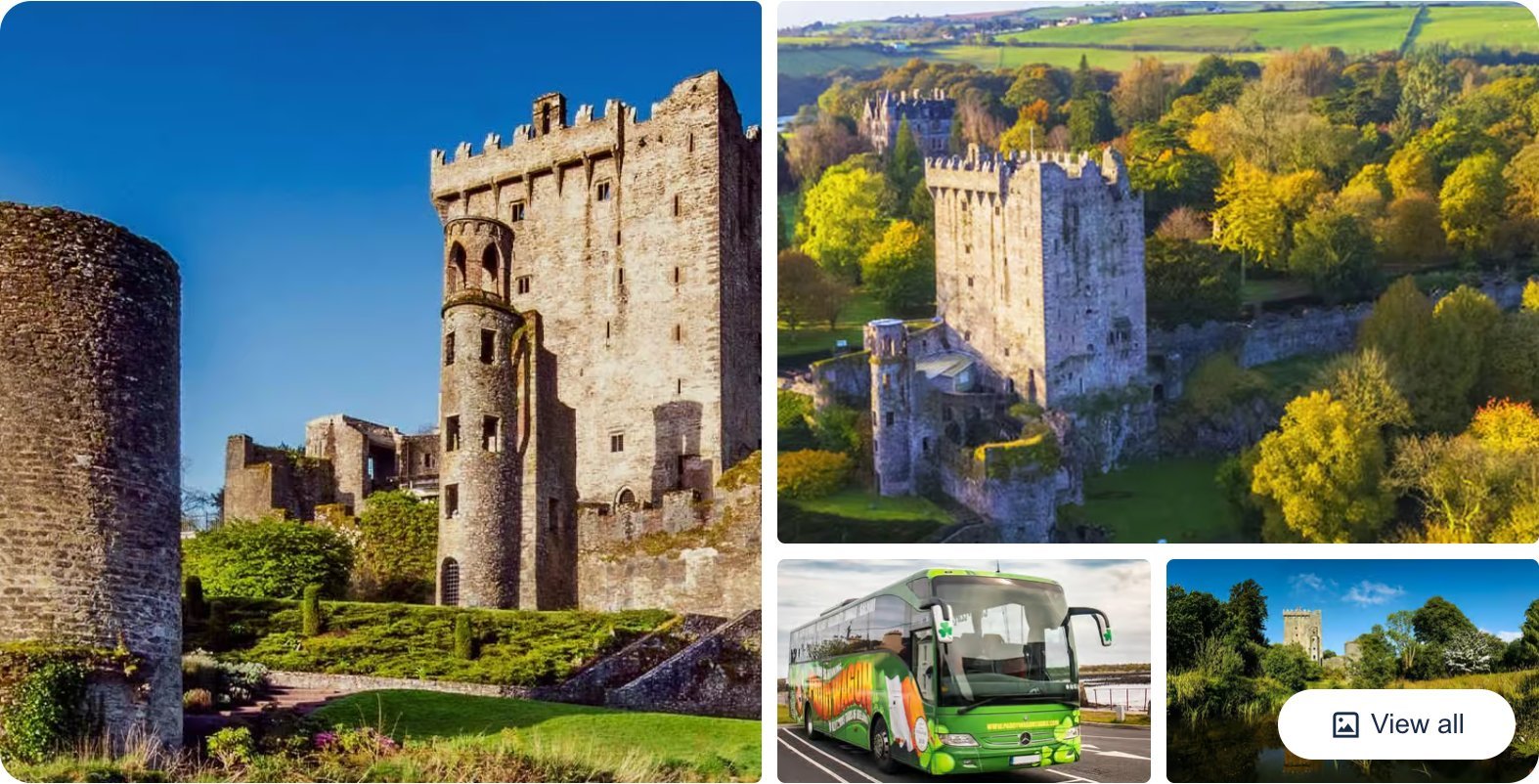 Kinsale, Blarney Castle and Cobh Half-Day Tour