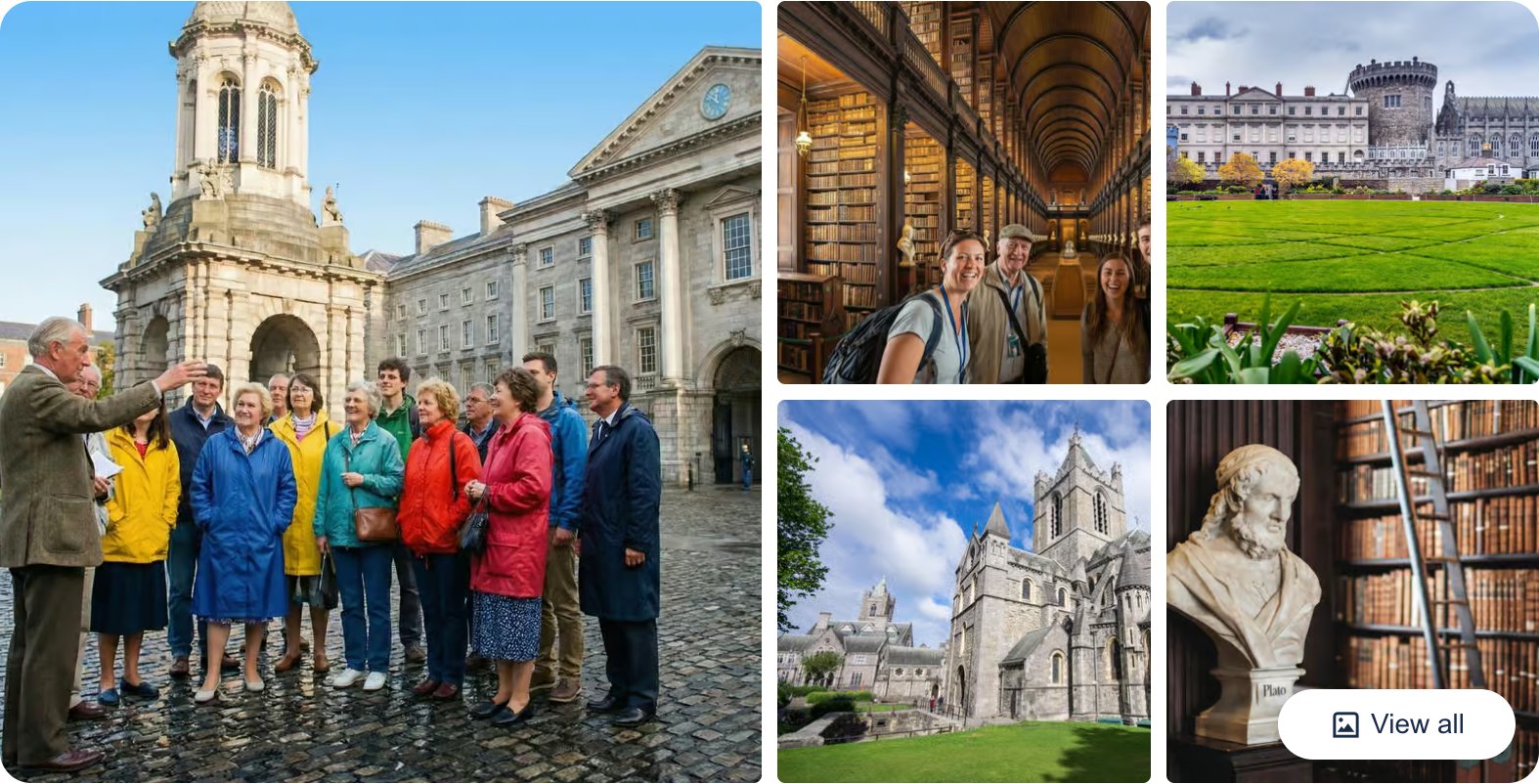 Book of Kells, Dublin Castle and Christ Church Cathedral Tour