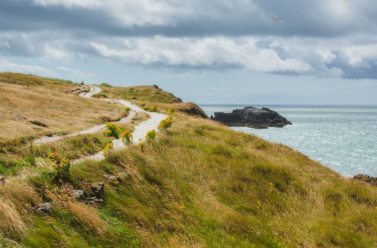 Grass coastal path winding along the sea cliffs in the west of Ireland