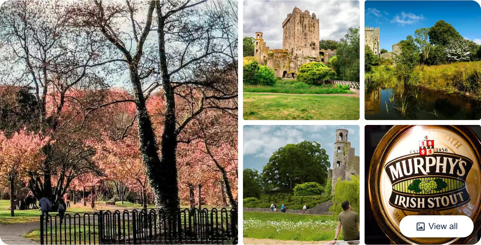Cork: County Cork Highlights Tour with Blarney Castle