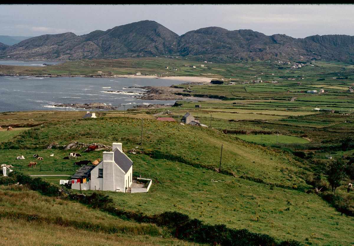 A cottage, green fields and the coast in rural Ireland, the corner you come back for