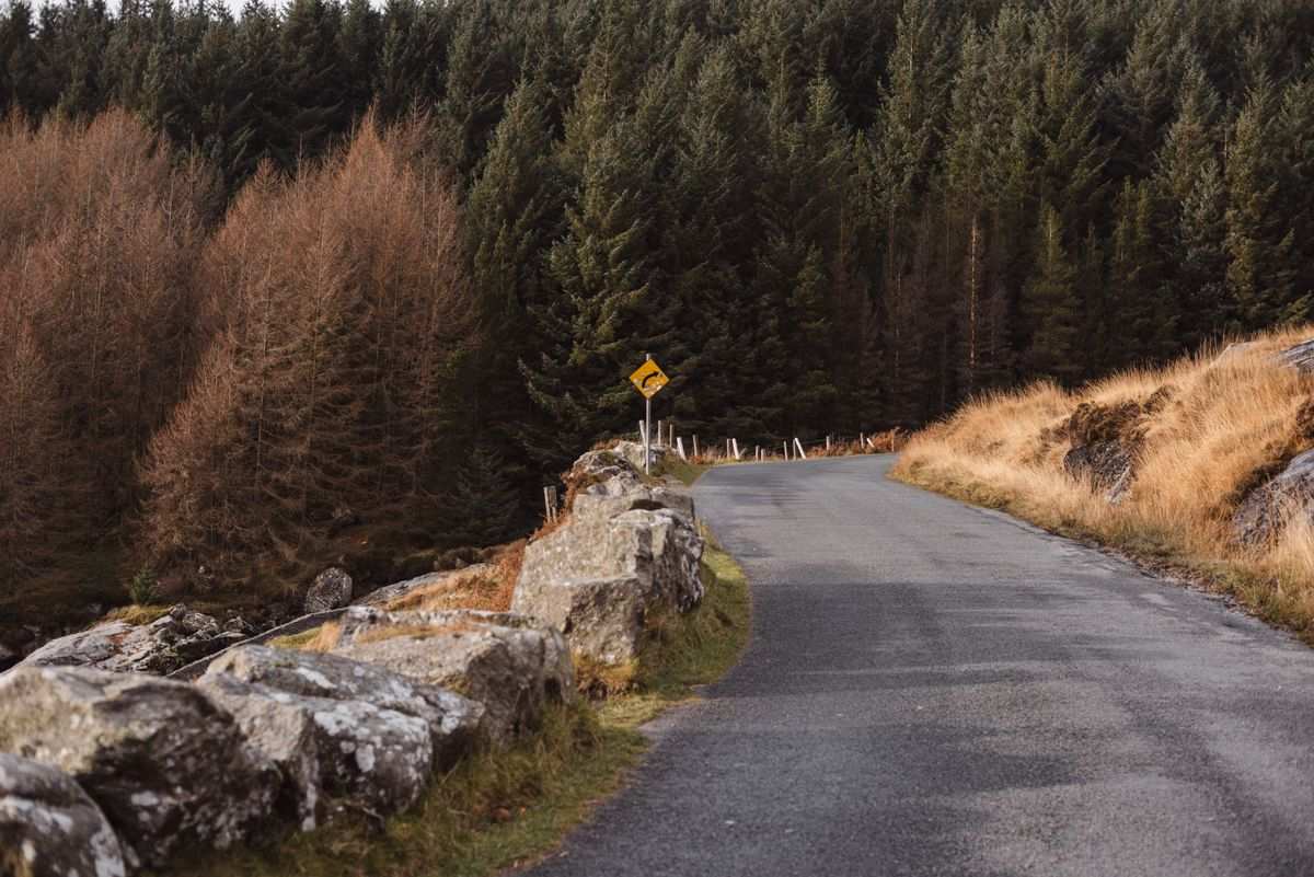 A narrow Irish country road, the kind you need your own car to reach the good stuff