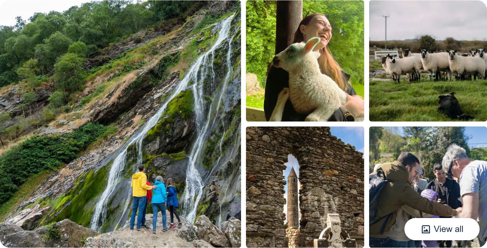 From Dublin: Wicklow, Glendalough, Waterfall and Sheepdog Show