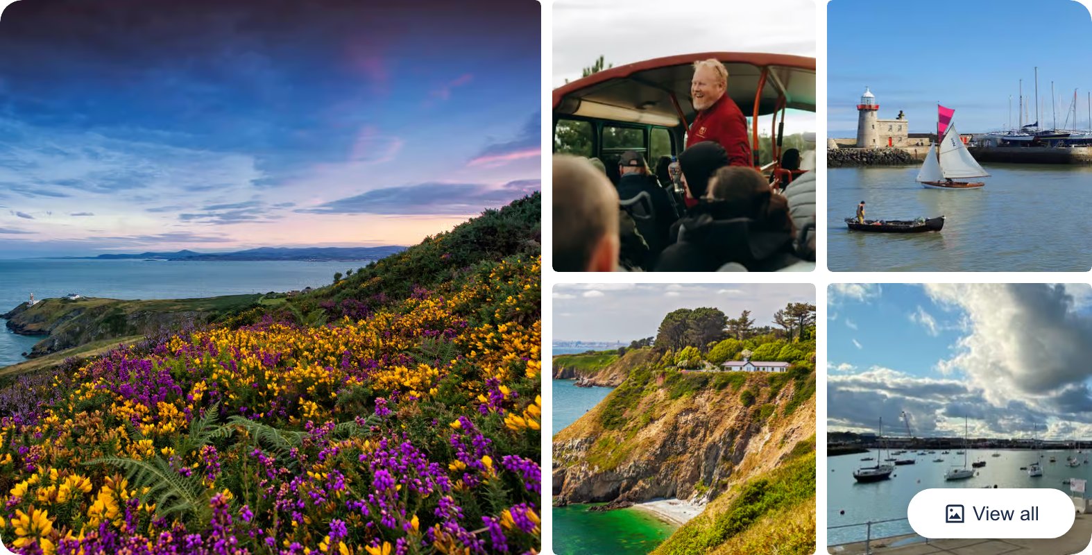 Half-Day Coastal Tour to Howth from Dublin