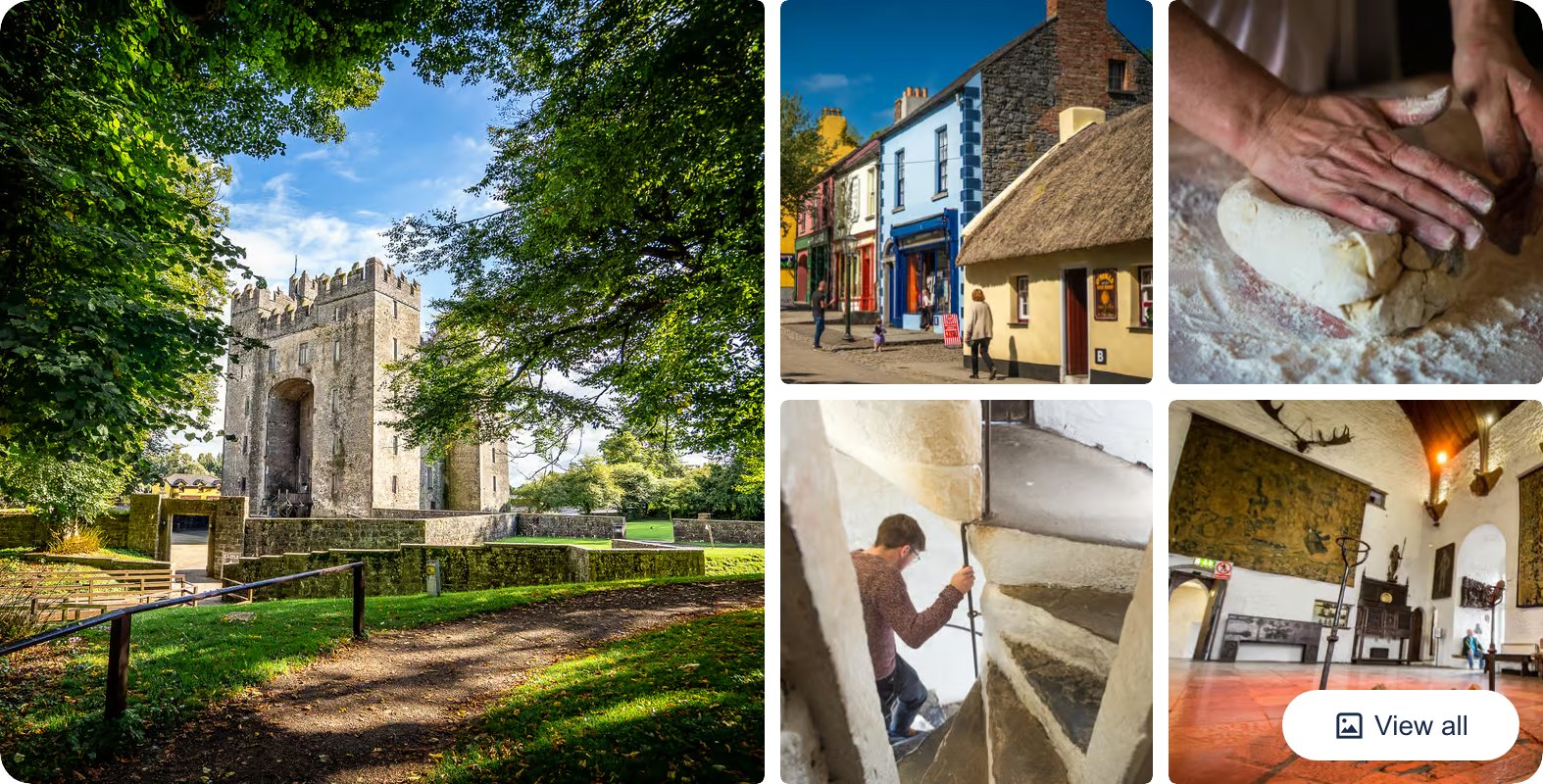 Limerick: Bunratty Castle and Folk Park Day Visit