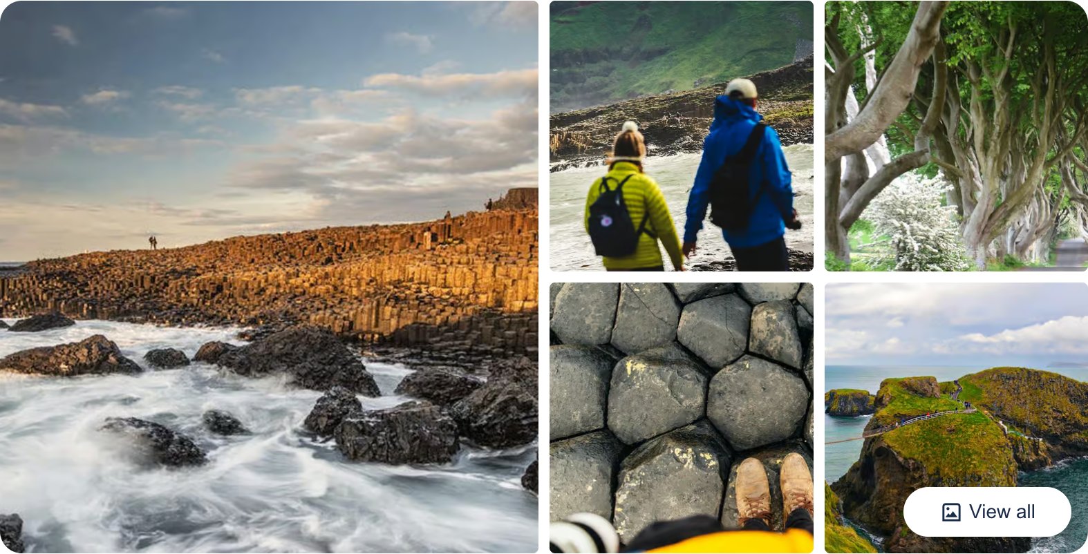 Morning Giant's Causeway Half-Day Tour from Belfast