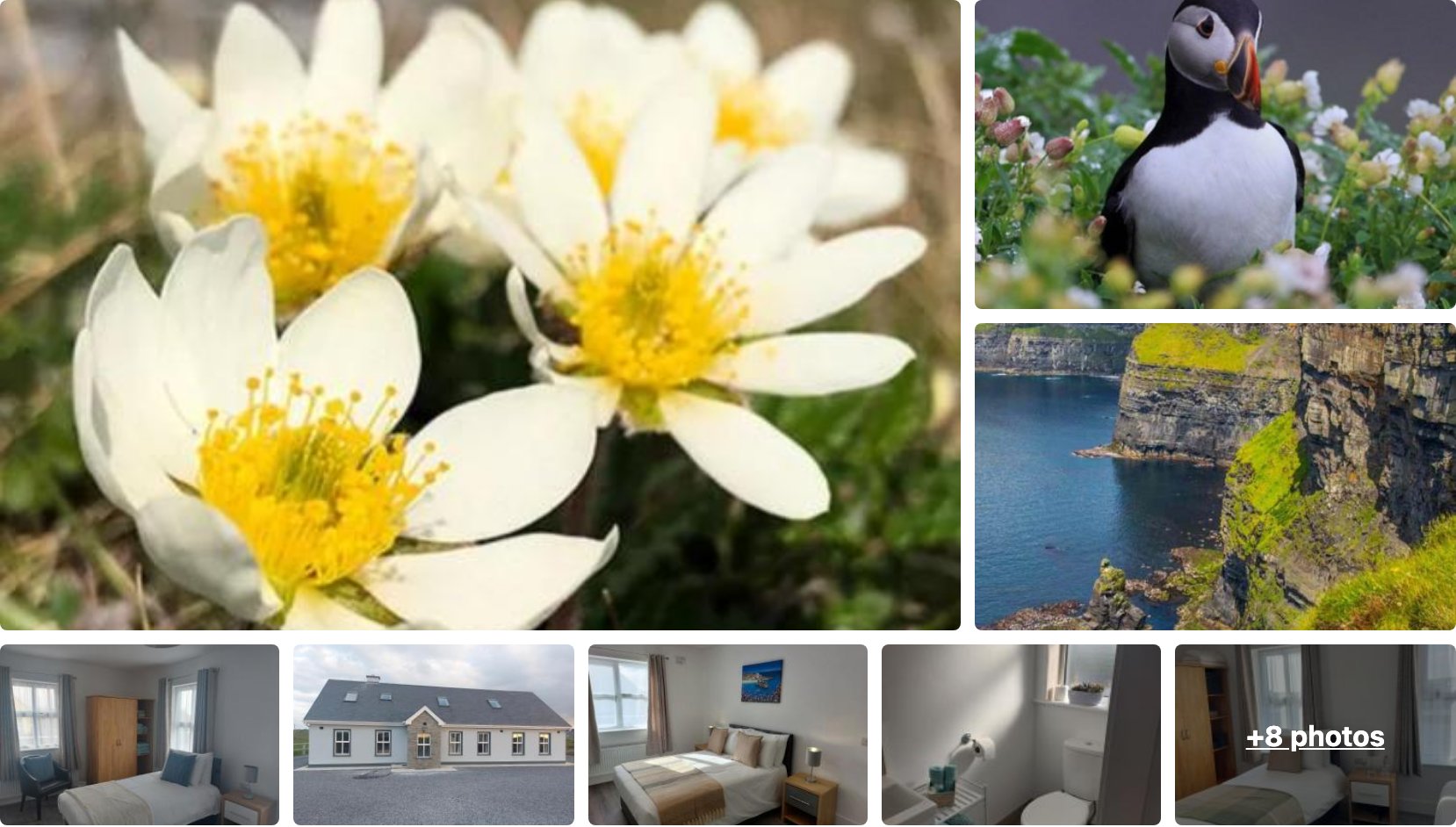 Mountain Aven Guest House