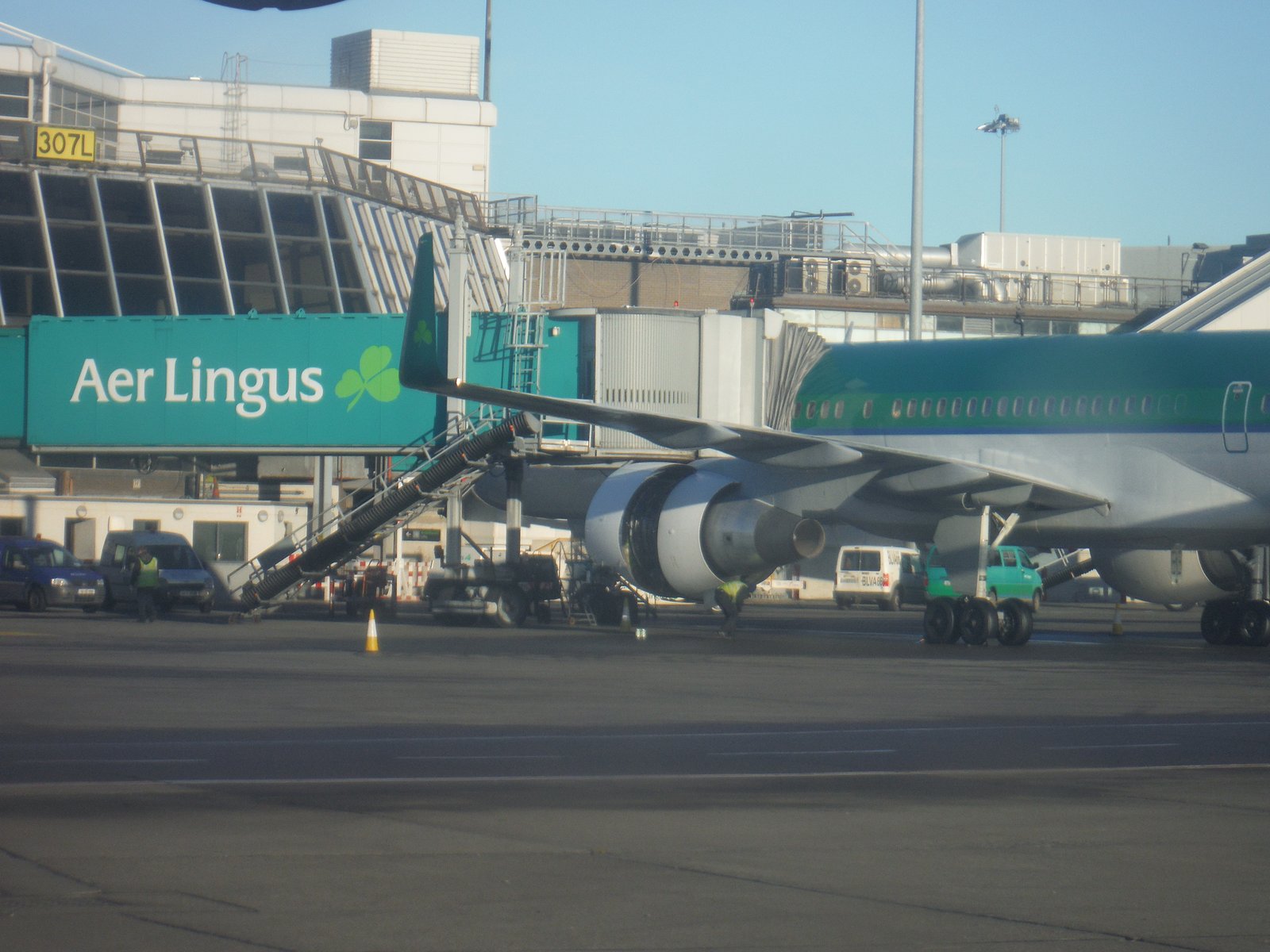 Aer Lingus aircraft at a Dublin Airport gate