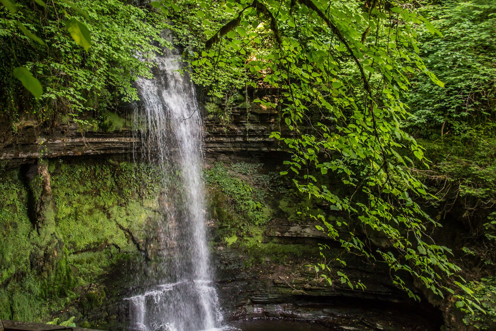 Glencar Waterfall on the Leitrim border, a thin drop through the trees that Yeats wrote about