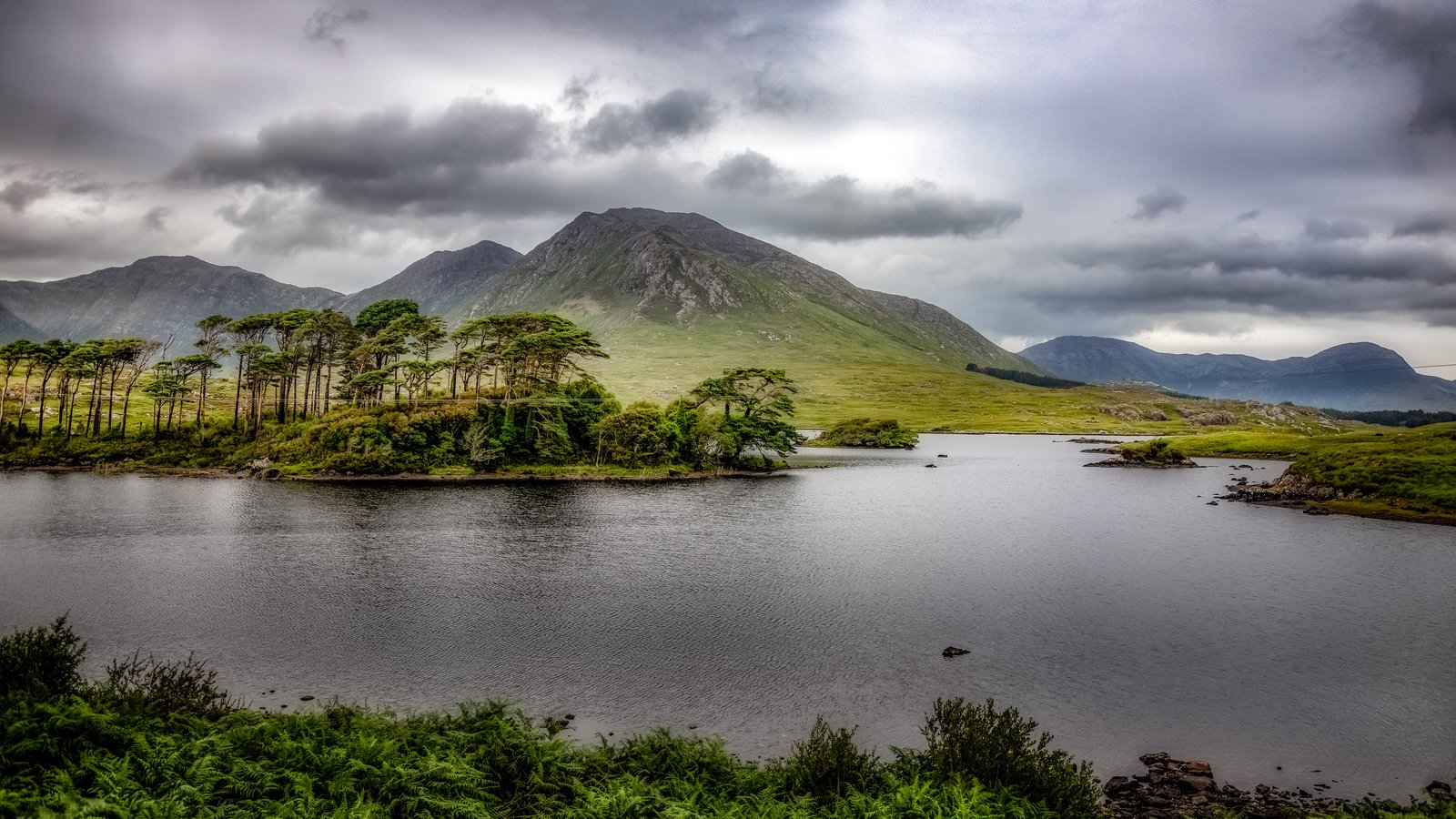 Derryclare Lough with a pine island and the Twelve Bens behind in Connemara