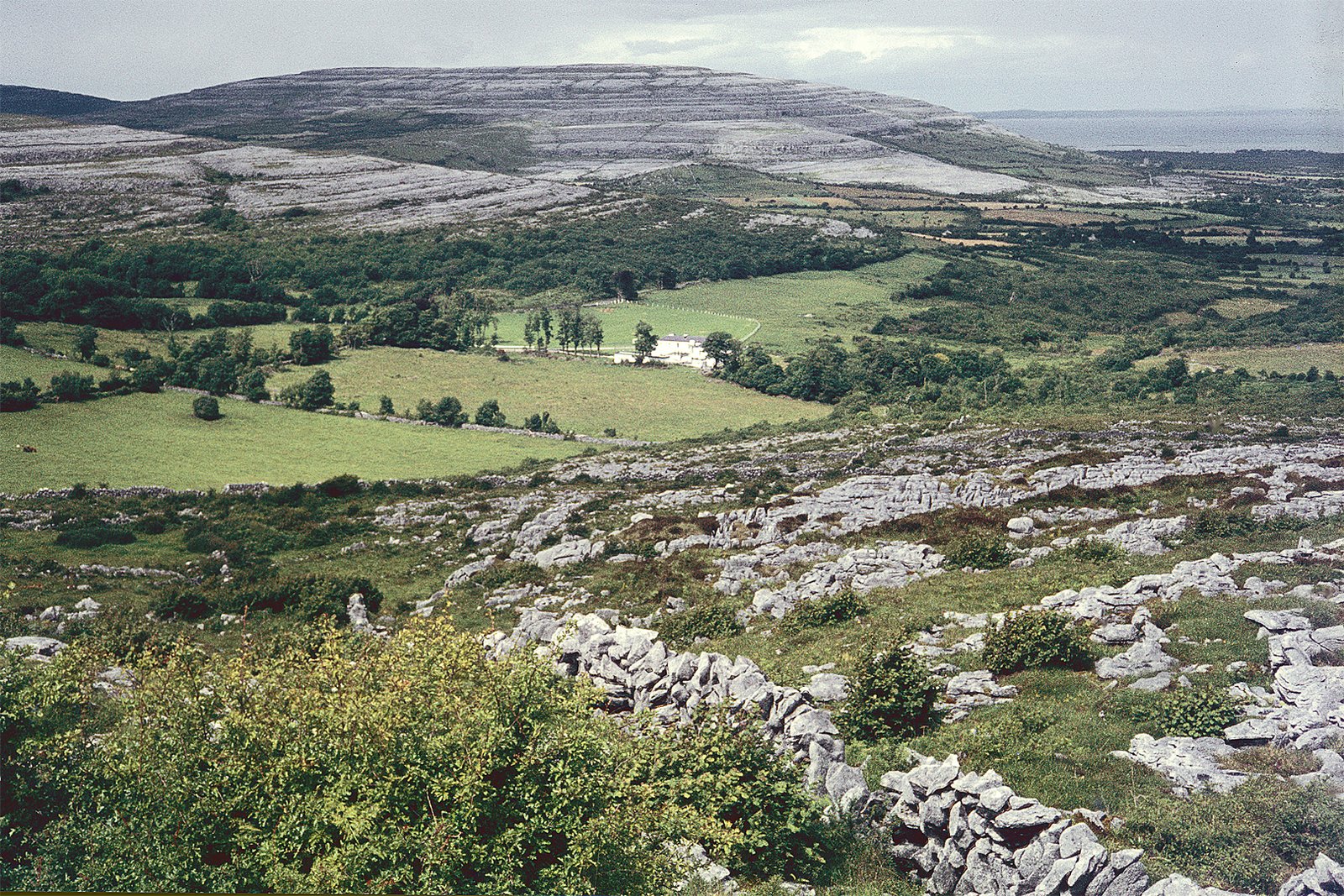 Cracked grey limestone pavement of the Burren in County Clare