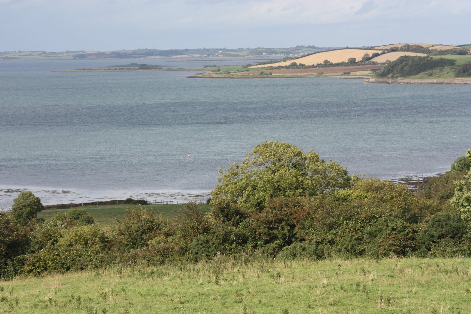 Water view over Strangford Lough with green fields and low hills on the far shore
