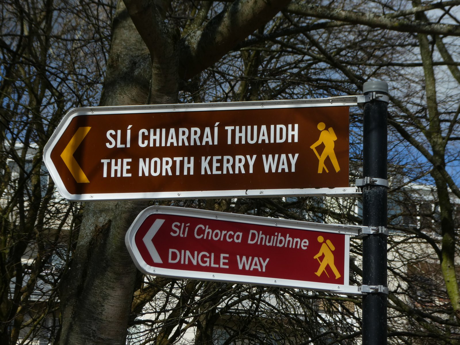 A waymarked signpost for the Dingle Way walking trail