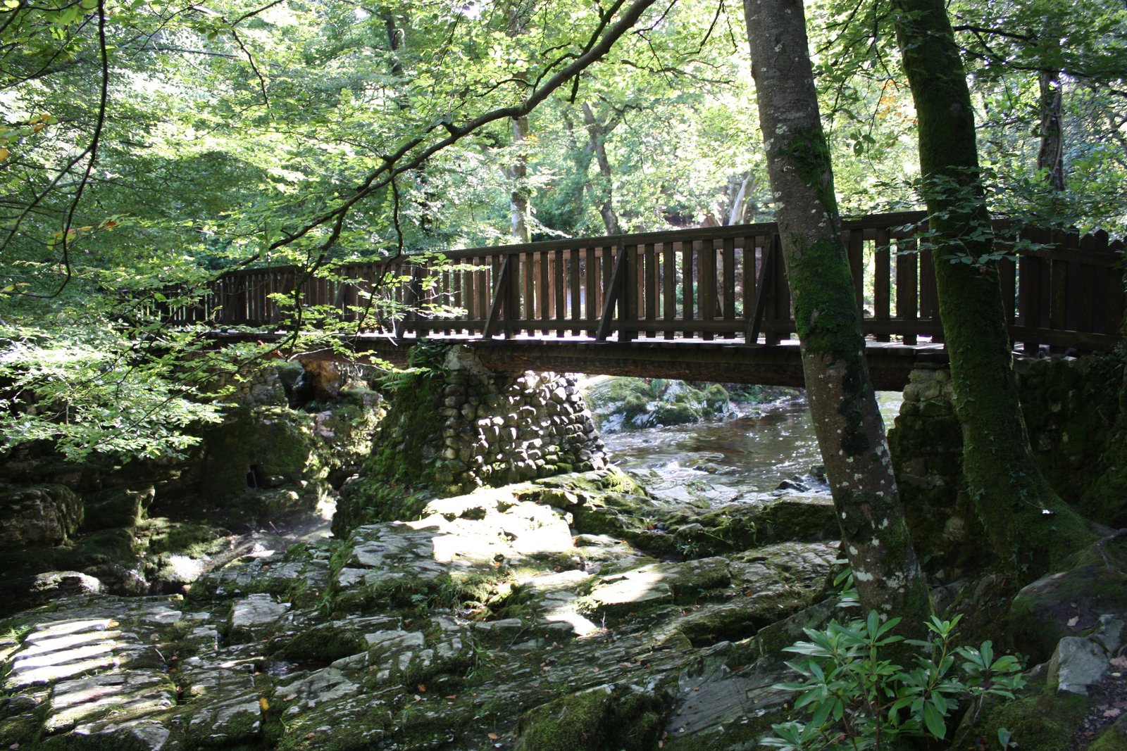A wooden footbridge over the river in Tollymore Forest Park