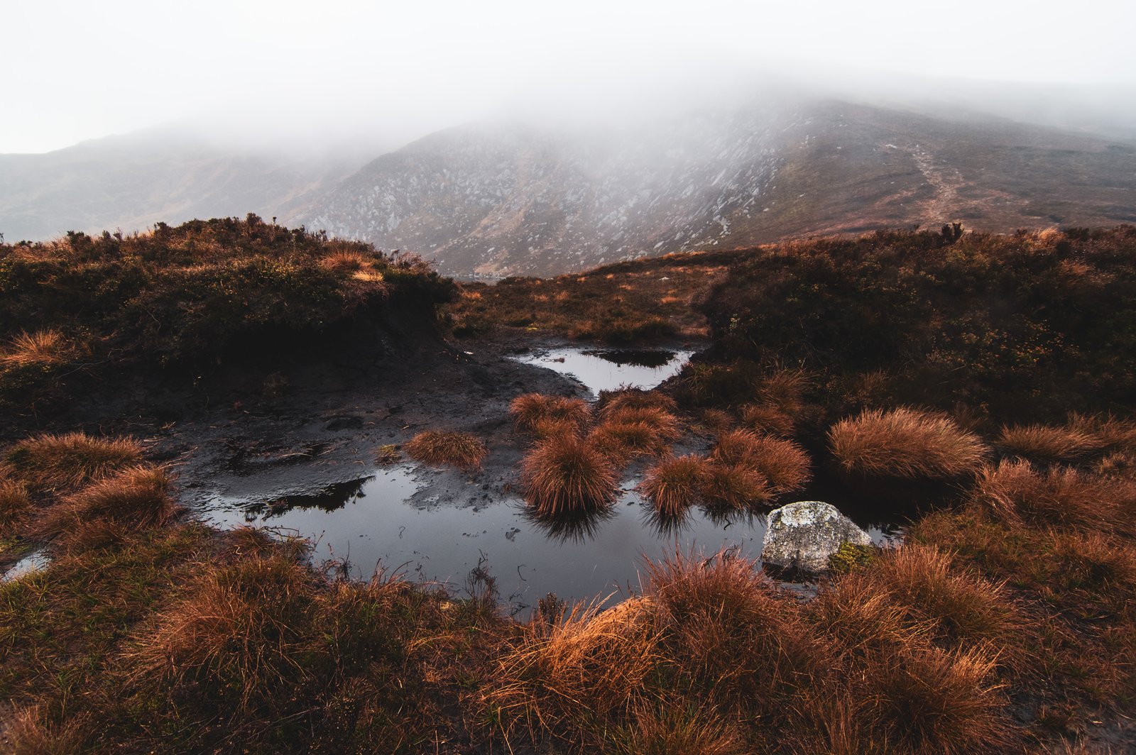 Blanket bog and misty peaks in Wicklow Mountains National Park