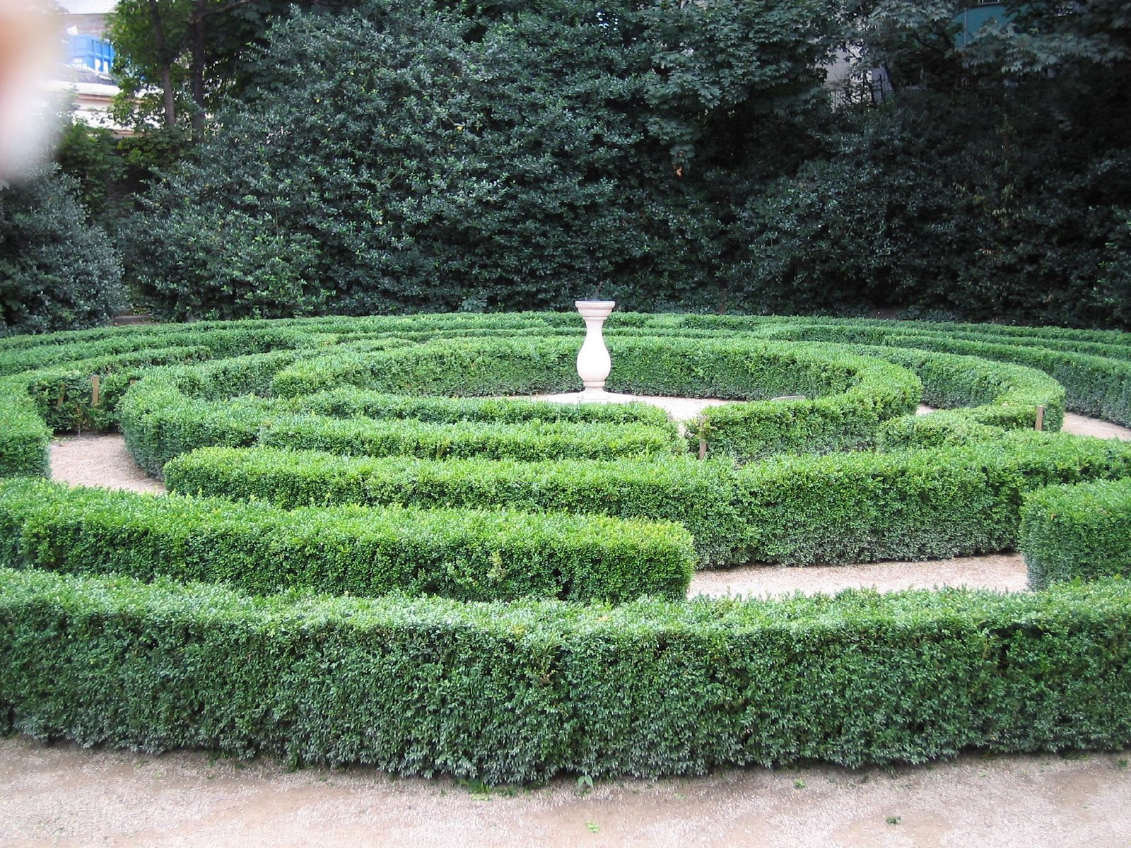 Boxwood maze and fountain in the Iveagh Gardens Dublin