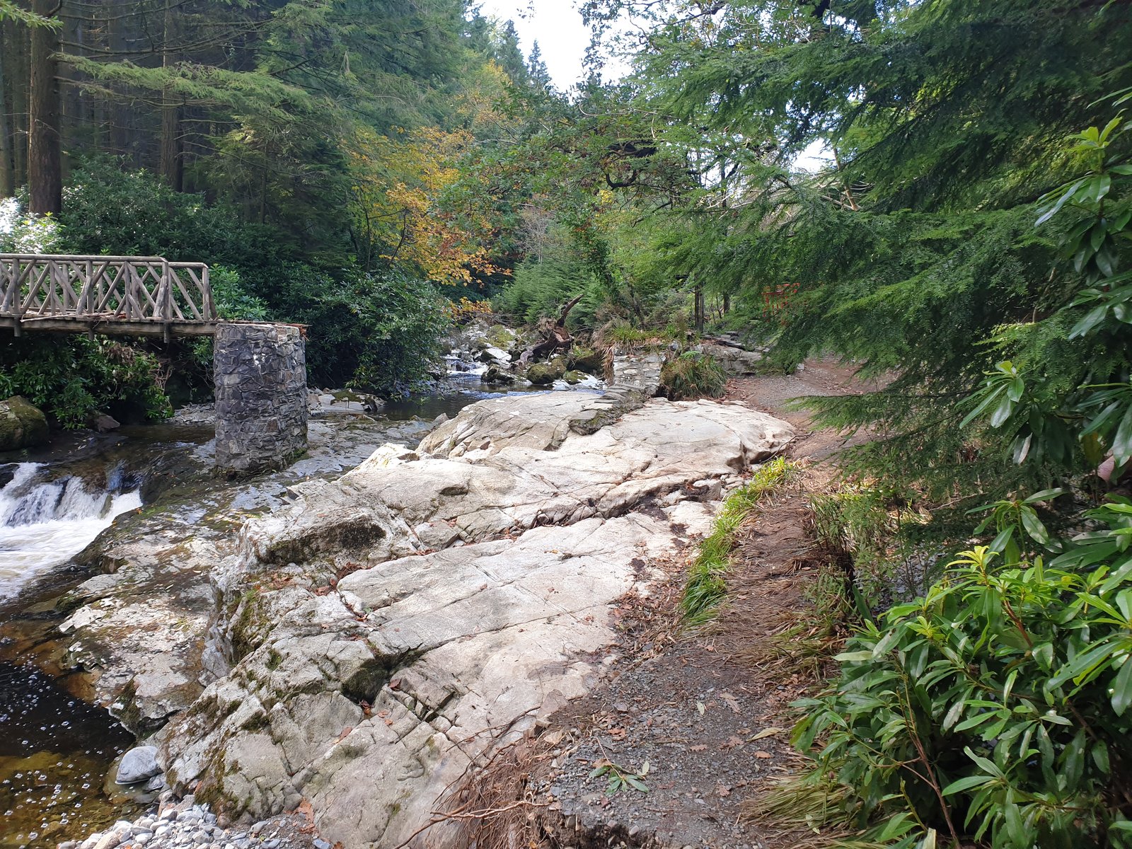 A river and path through the trees in Tollymore Forest Park