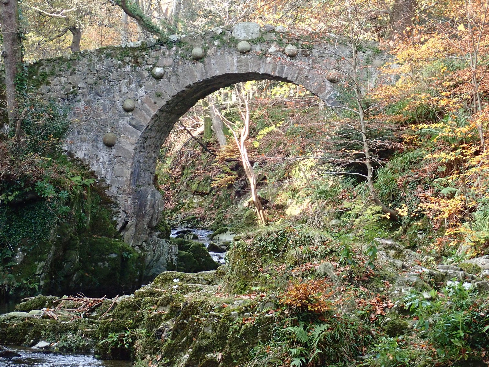An old stone arch bridge in autumn woodland in the Mournes