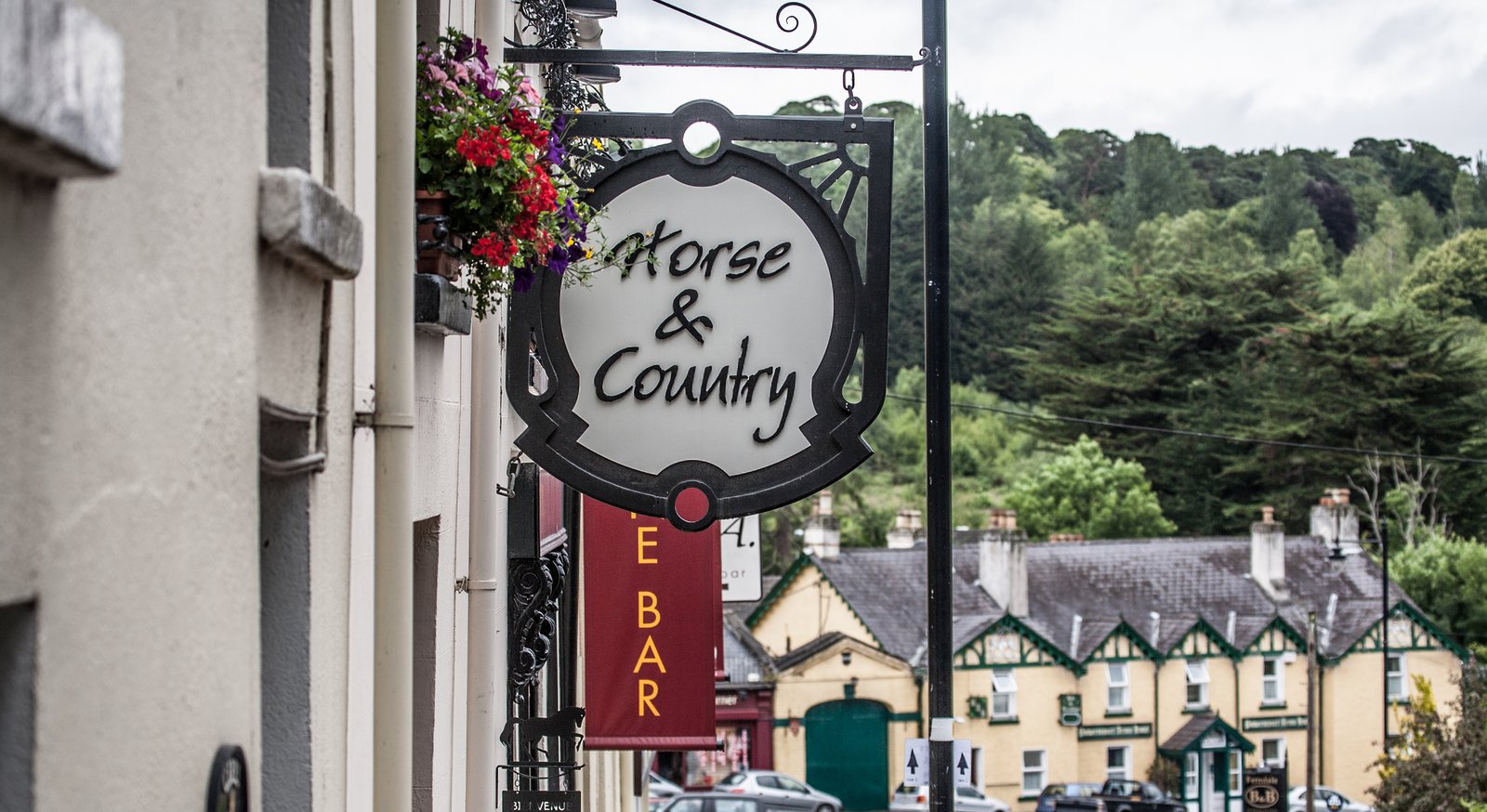 A pub sign and traditional houses in a Wicklow village