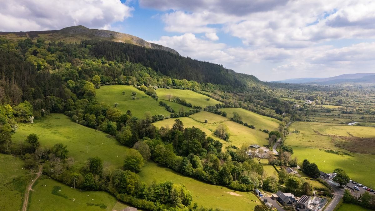 Green Irish countryside under soft light in shoulder season