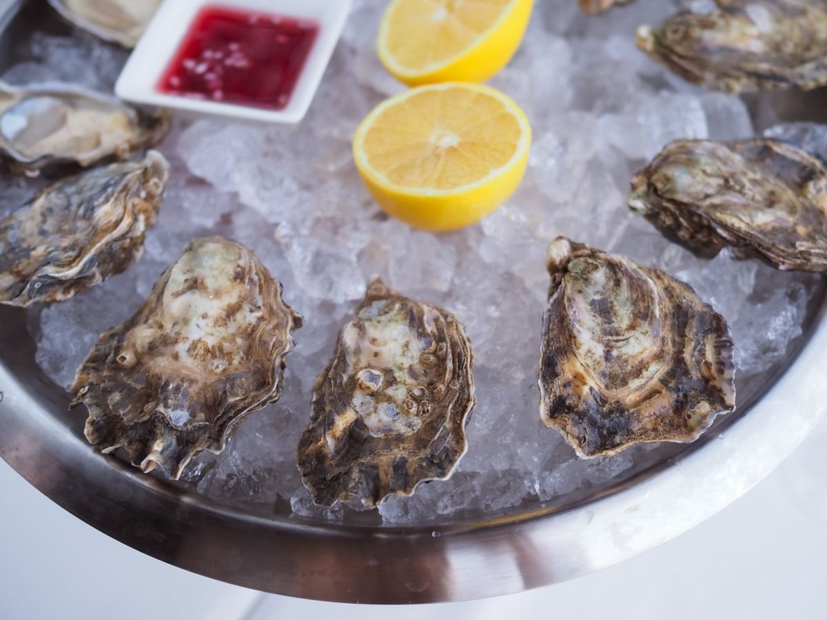 Fresh oysters on ice with lemon on a serving platter