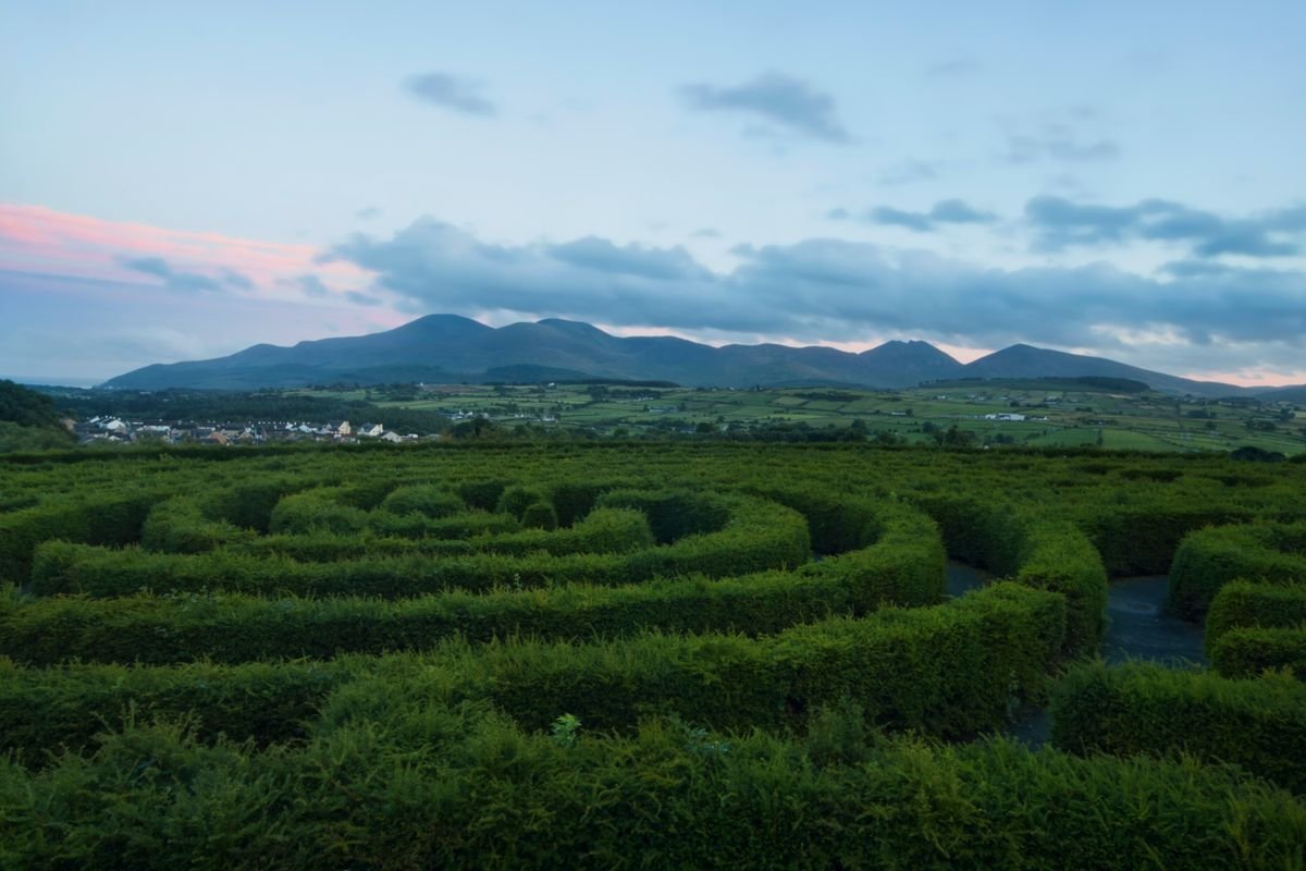 The Mourne Mountains at sunset behind the hedge maze at Castlewellan.