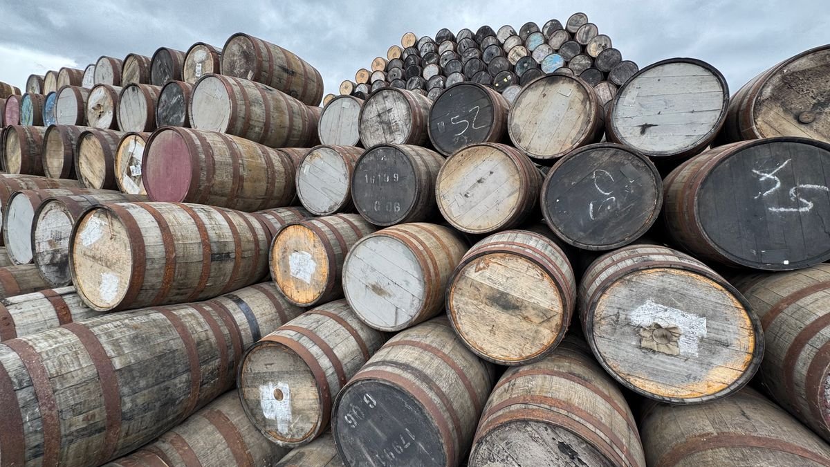 Stacked oak whiskey casks aging at a distillery