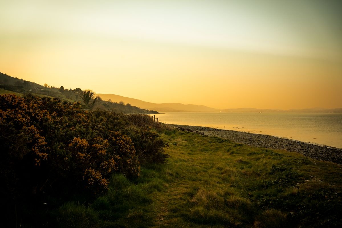Golden morning light over an Irish coast, the best time to arrive at Carrick-a-Rede