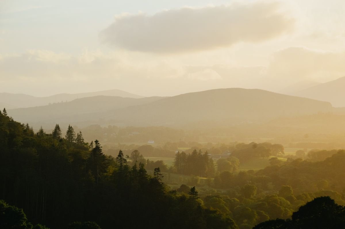Soft morning light over rolling Irish countryside near Cork