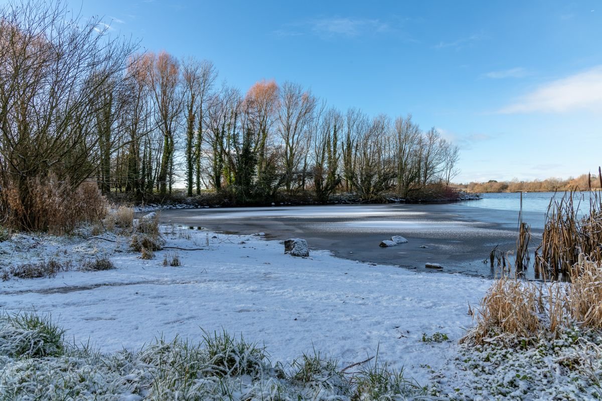 Still lake fringed with bare winter trees in the Fermanagh lakelands