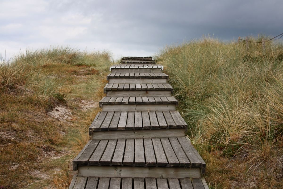 Wooden boardwalk steps climbing a grassy slope toward open sky on the Cuilcagh mountain trail