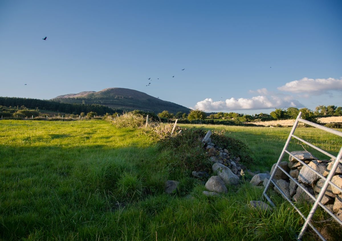 Slieve Gullion mountain rising over farmland in County Armagh