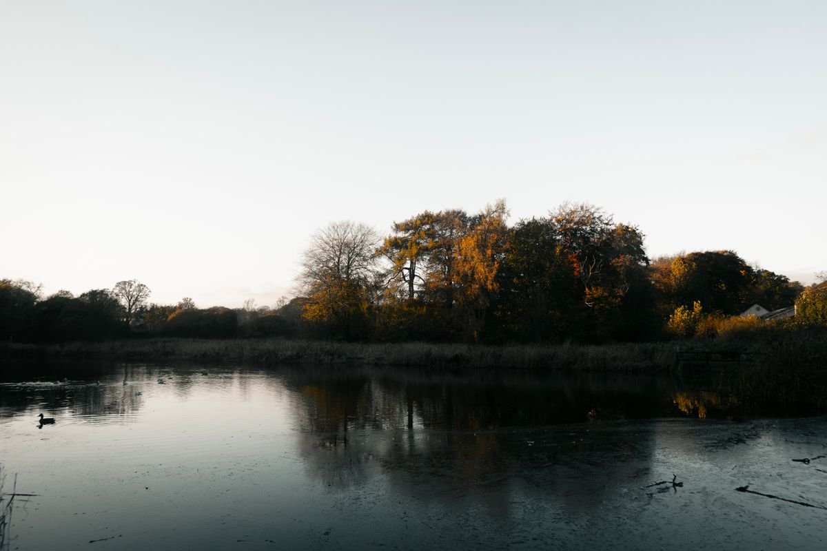 A calm reservoir pond ringed by trees in a Dublin park