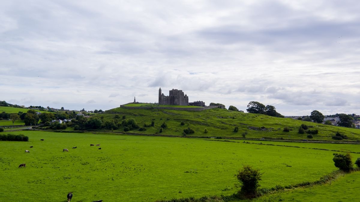 The Rock of Cashel rising over green fields with grazing cattle below