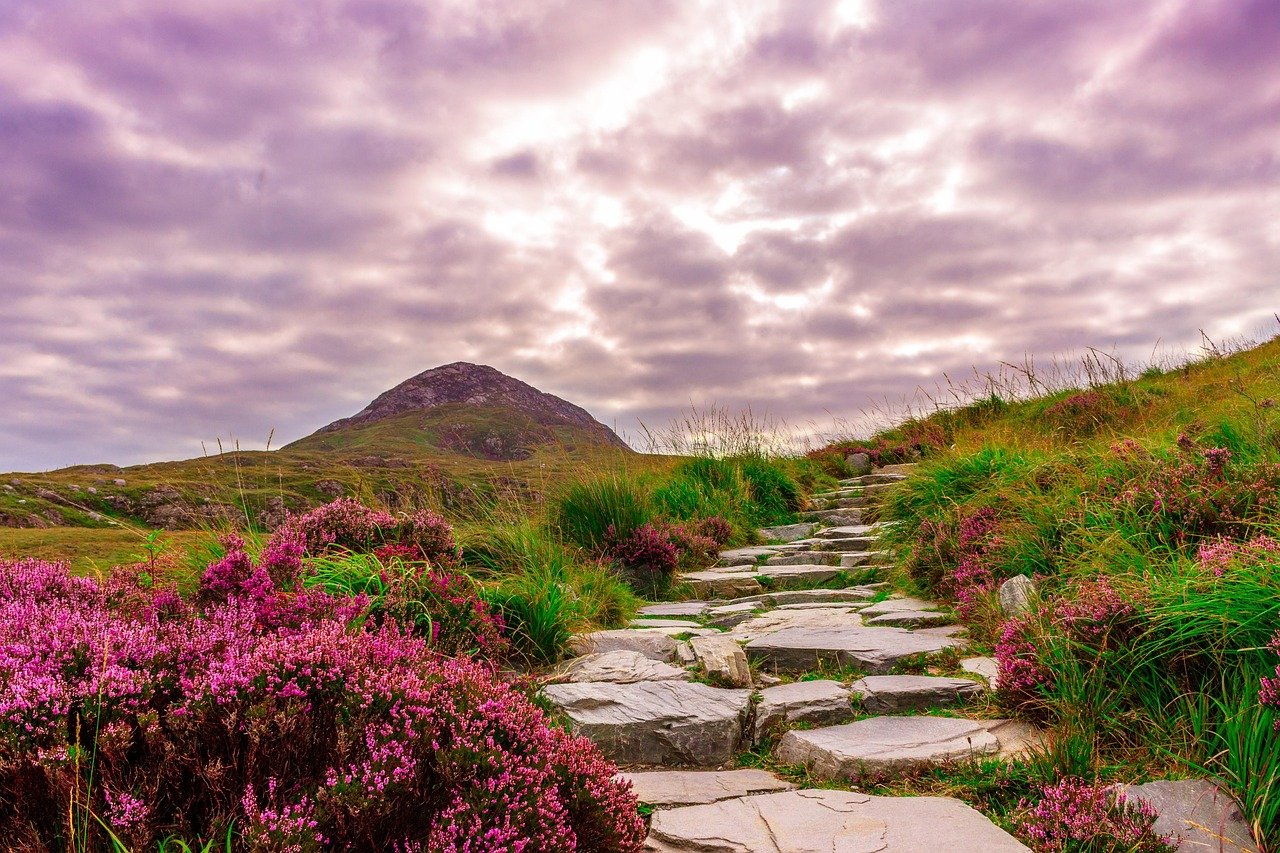A stone path winding through green heather uplands on the Dingle Peninsula