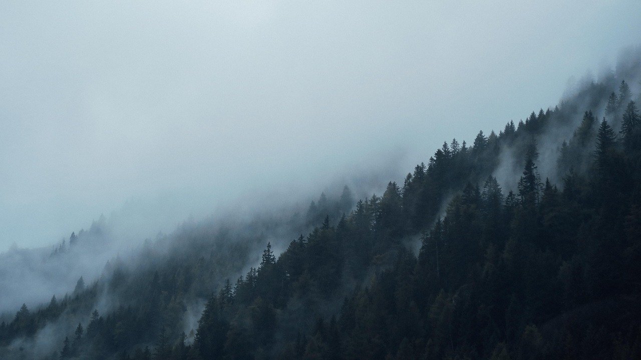 Mist and low cloud over a forested mountain slope in Ireland