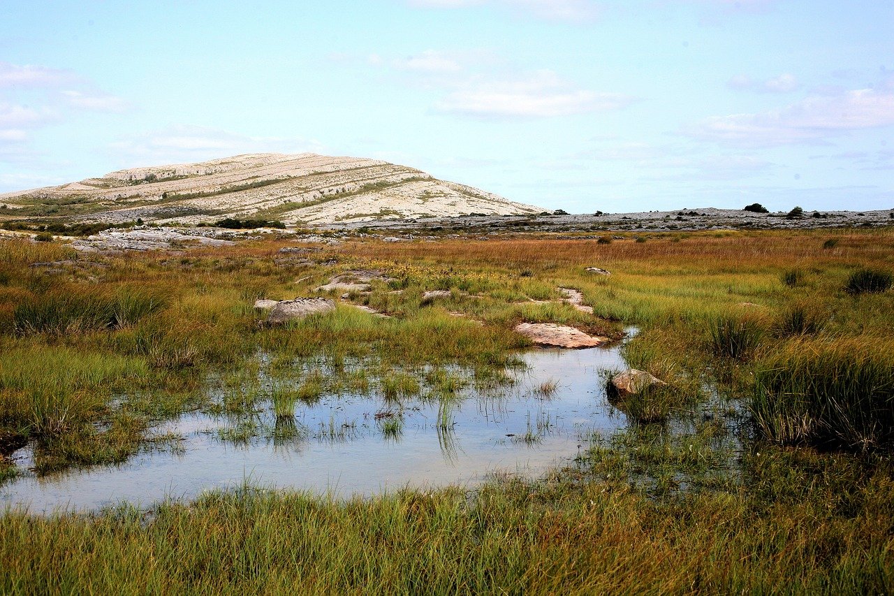 Bare limestone hills of the Burren in County Clare with a rocky pool in the foreground