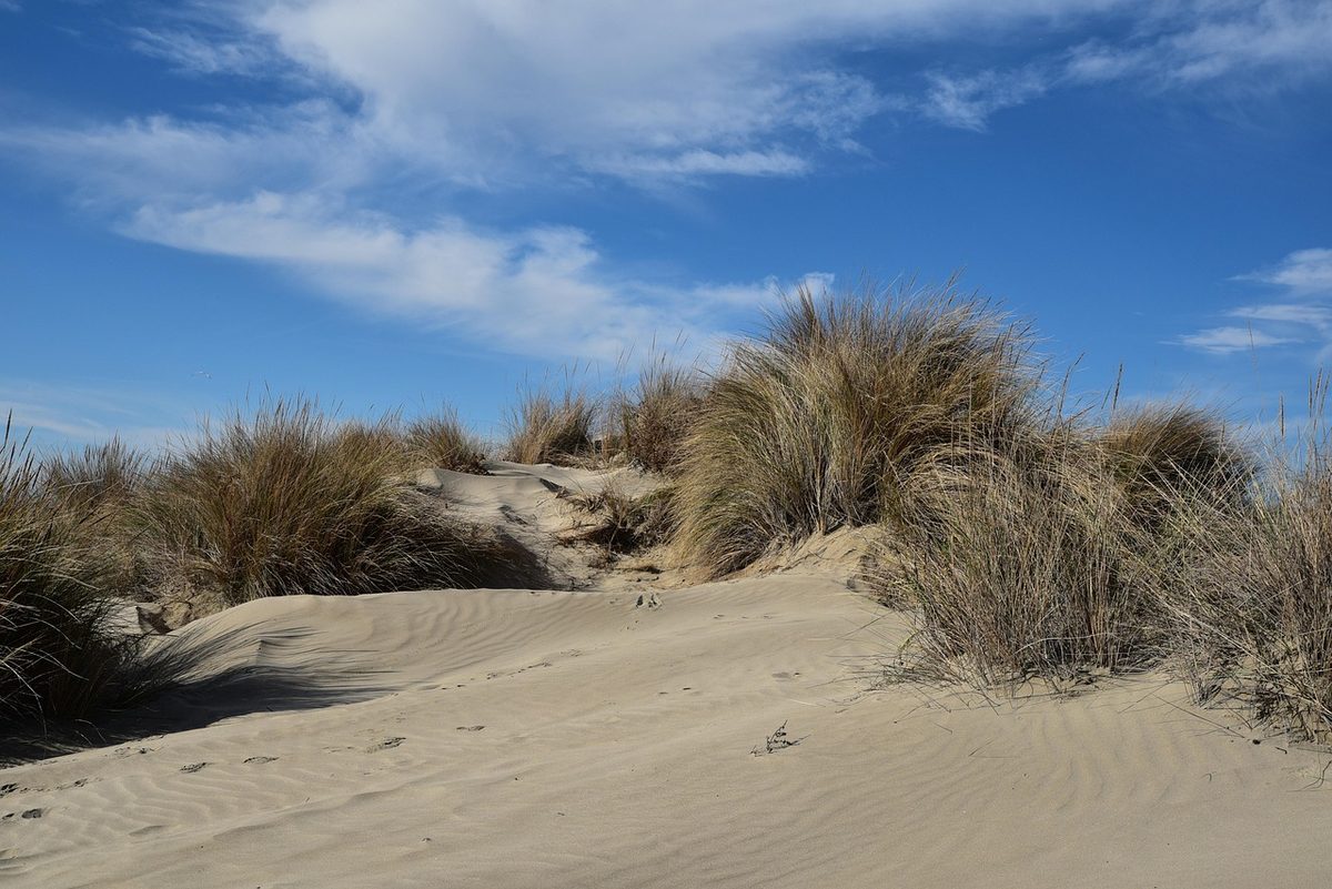 Sand dunes and marram grass under a blue sky on the Atlantic coast