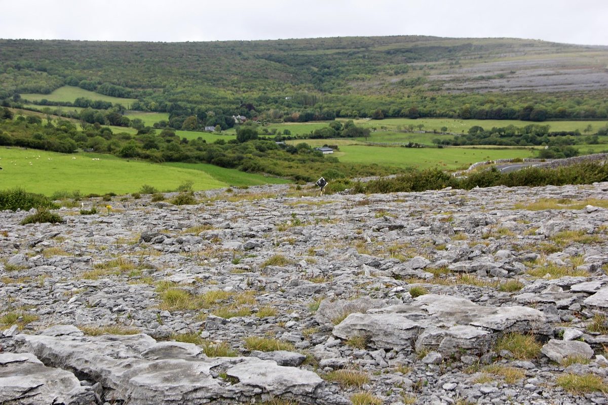 A walker out on the Burren limestone with the terraced hills behind